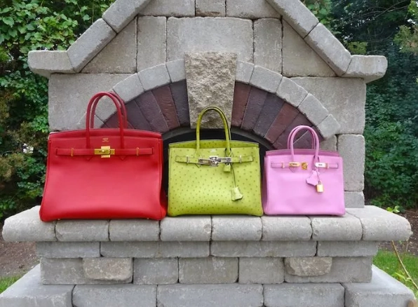 Hermes Birkin 25 vs 20