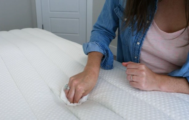 mattress urine odor removal