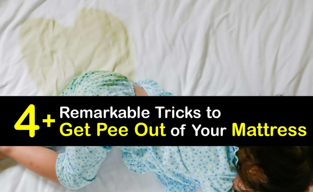 How to Wash Pee Out of Mattress: A Step-by-Step Guide for Freshness