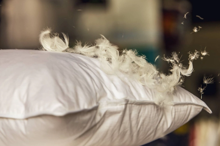 feather pillow care