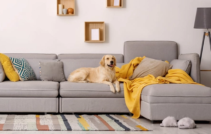 pet friendly sofa fabric pet friendly sofa fabric