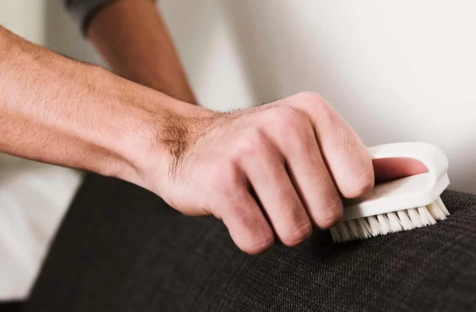 suede sofa cleaning suede sofa cleaning