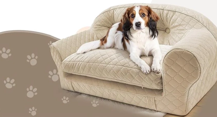 Best Dog-Proof Sofa Fabrics: Durable & Easy Clean Materials