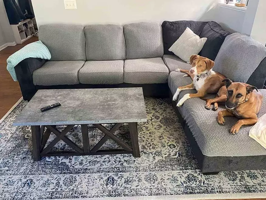 best couch material for dogs