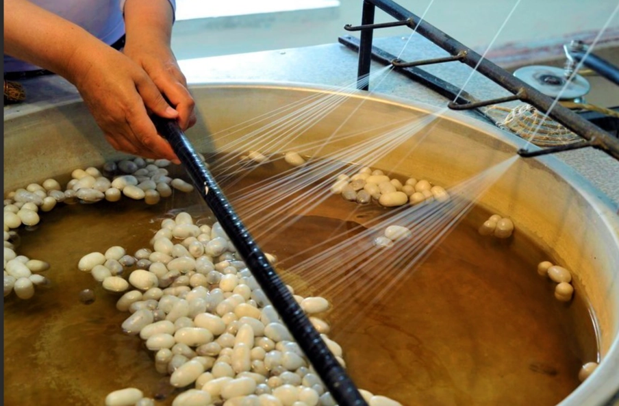 silk production process