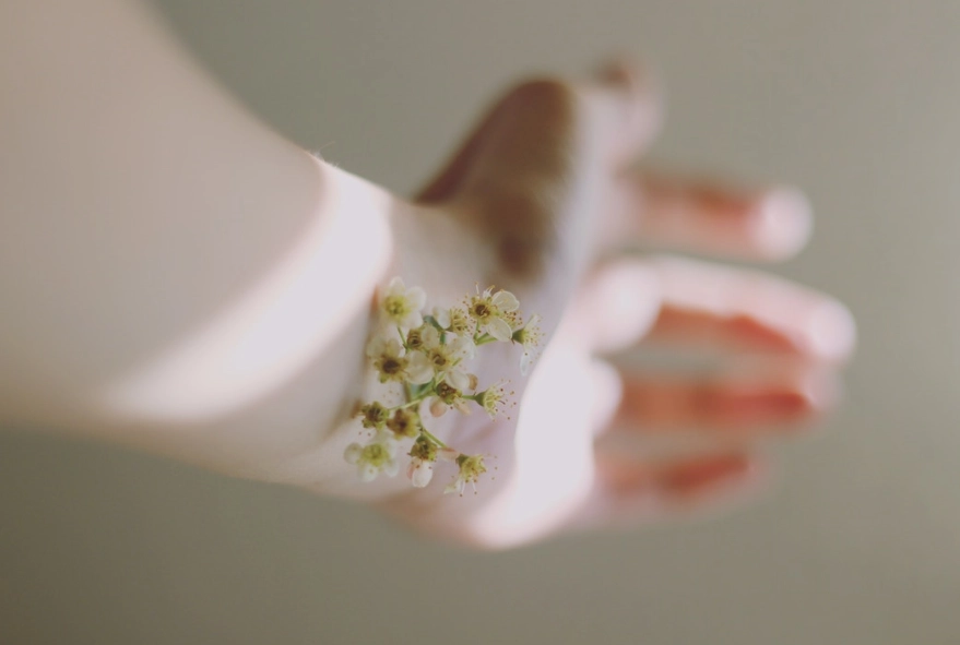 modal fabric skin irritation modal fabric skin irritation