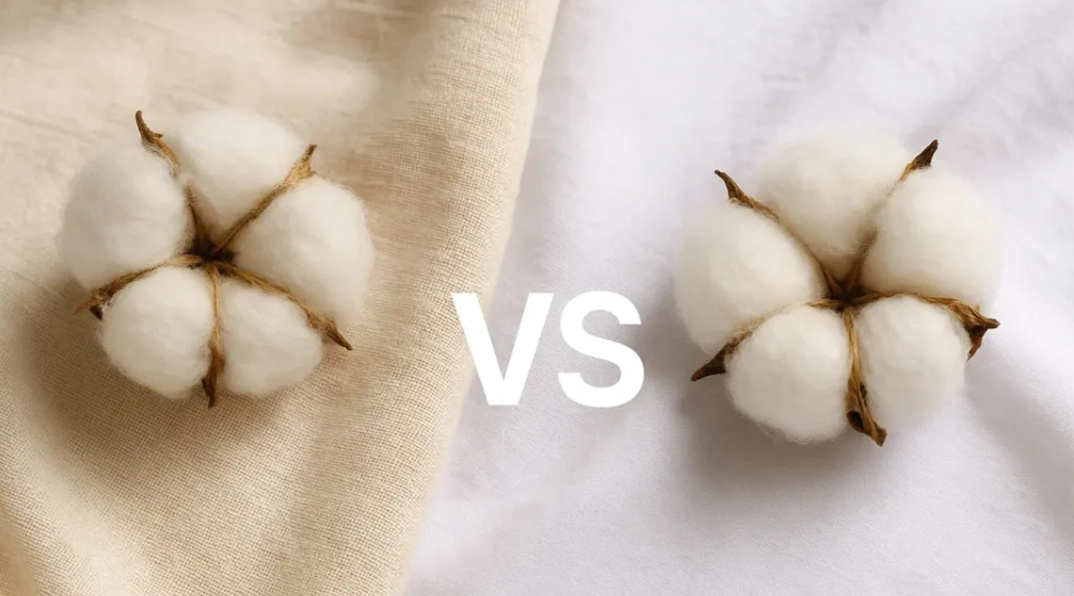 regular cotton vs organic
