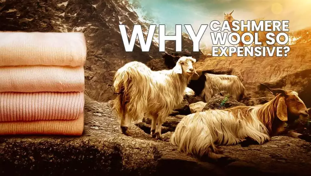cashmere cost cashmere cost