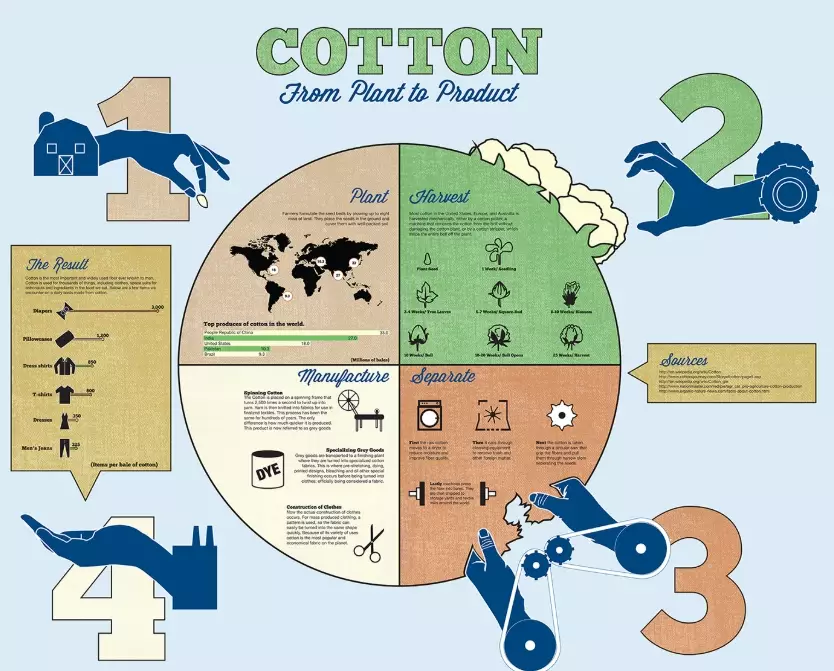 cotton to fabric process