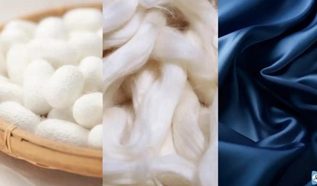 silk production process