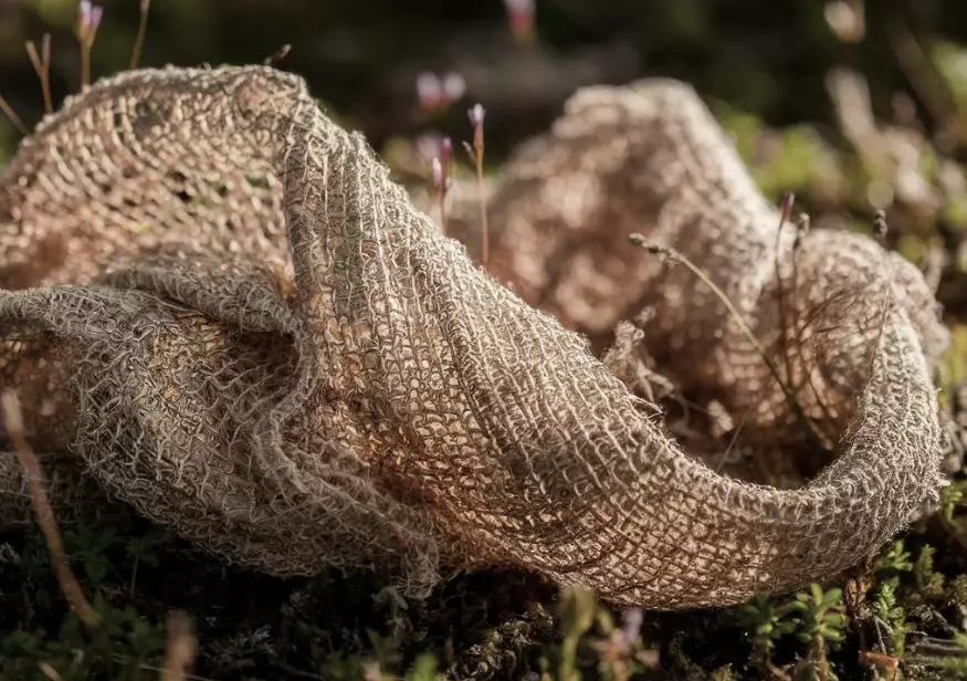 what is biodegradable fabric